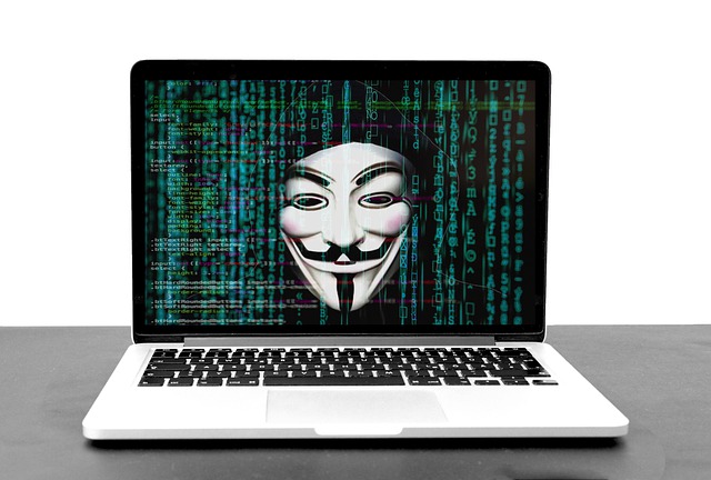 La cybercriminalité, une grande menace pour le monde numérique